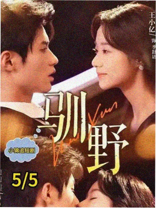 回声岛剧集封面